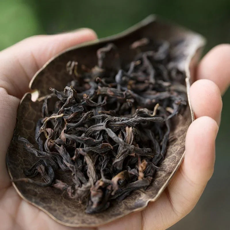Lao Duan Shan Premium Phoenix Dancong [Ancient Tree Yashixiang] Oolong Tea - YIQIN TEA HOUSE | yiqinteahouse.com | oolong tea, phoenix dancong, tea