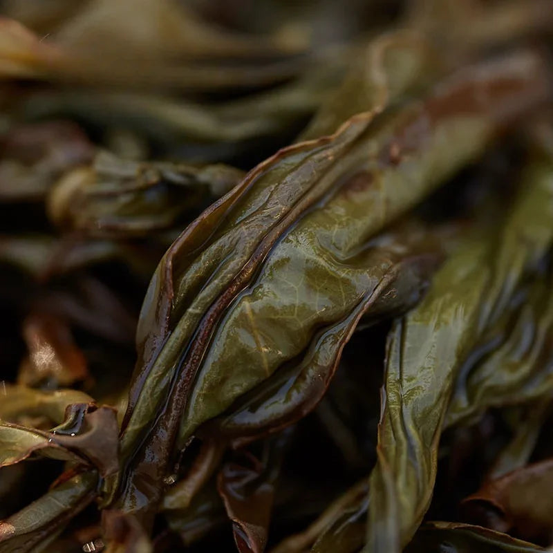 Lao Duan Shan Premium Phoenix Dancong [Ancient Tree Yashixiang] Oolong Tea - YIQIN TEA HOUSE | yiqinteahouse.com | oolong tea, phoenix dancong, tea