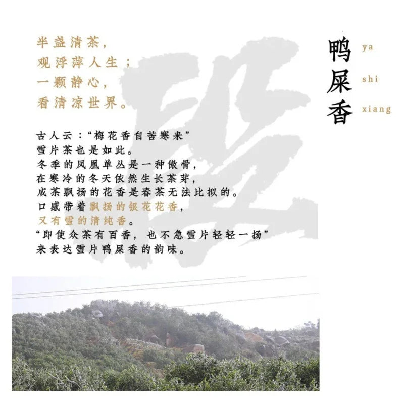 Lao Duan Shan Premium Phoenix Dancong [Snowflakes Yashixiang] Oolong Tea - YIQIN TEA HOUSE | yiqinteahouse.com | oolong tea, phoenix dancong, tea