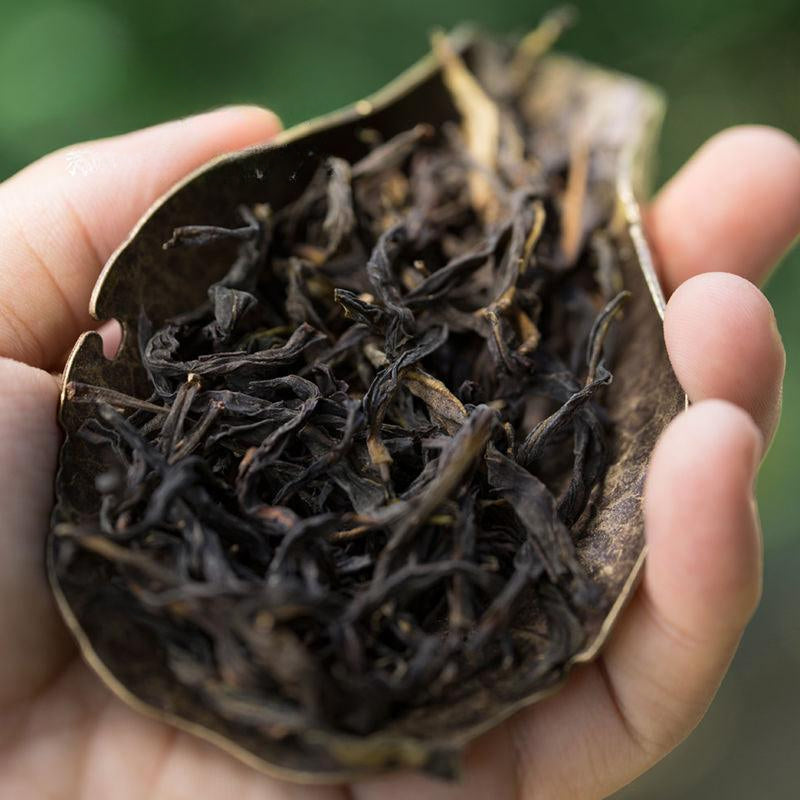 Lao Duan Shan [Premium Phoenix Dancong Snowflakes Yashixiang] Oolong Tea - YIQIN TEA HOUSE | yiqinteahouse.com | oolong tea, phoenix dancong, tea