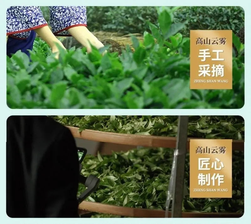Premium Early Spring [Mountain Green Tea] Canned Gift Set 250/500g - YIQIN TEA HOUSE | yiqinteahouse.com | green tea, mountain green tea, tea