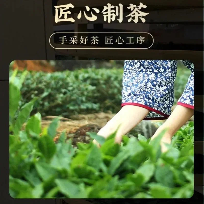Premium Guangxi [Pearl Jasmine] Green Tea Canned Gift Set 250/500g - YIQIN TEA HOUSE | yiqinteahouse.com | flower tea, pearl jasmine, tea