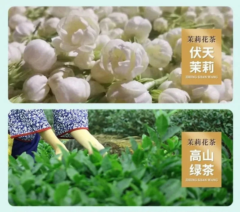 Premium Guangxi [Pearl Jasmine] Green Tea Canned Gift Set 250/500g - YIQIN TEA HOUSE | yiqinteahouse.com | flower tea, pearl jasmine, tea