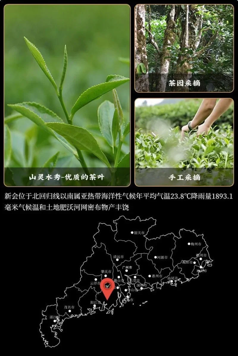 Premium Xin Hui [Mandarin Puer] Set Hadiah Teh Gelap Tin 250/500g