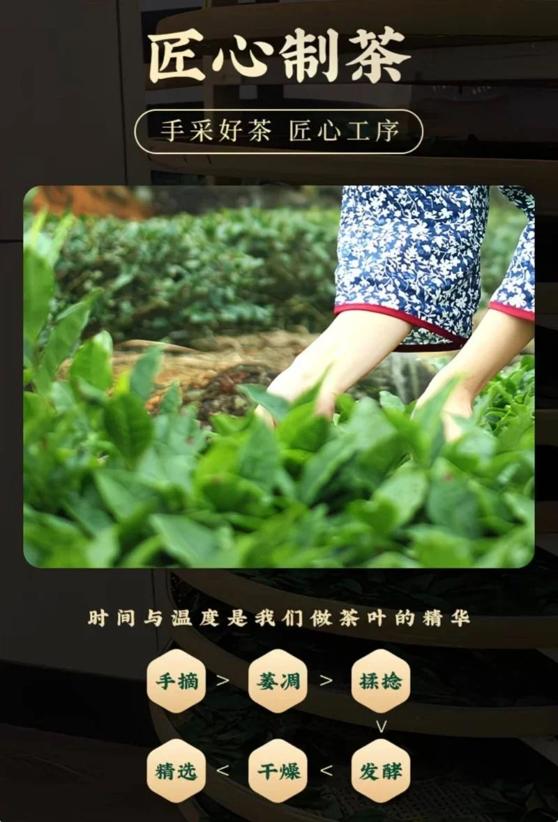 a52f034f0b322d1d7e8e62cd2fed10eb_2e8c7203-d35b-465e-8008-62f3d9d5a69c - YIQIN TEA HOUSE 一沁茶舍 yiqinteahouse.com