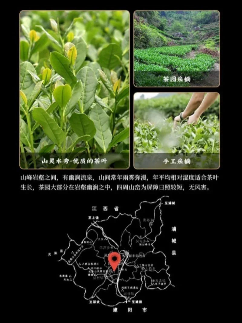 Wuyi Yan Cha Premium [Dahongpao] Strong Flora Aroma Oolong Tea 260/520g - YIQIN TEA HOUSE | yiqinteahouse.com | da hong pao, oolong tea, tea