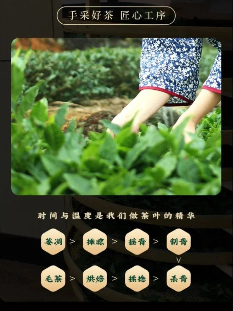 Wuyi Yan Cha Premium [Lao Cong Narcissus] Strong Flora Aroma Oolong Tea 260/520g - YIQIN TEA HOUSE | yiqinteahouse.com | oolong tea, tea, wuyi narcissus