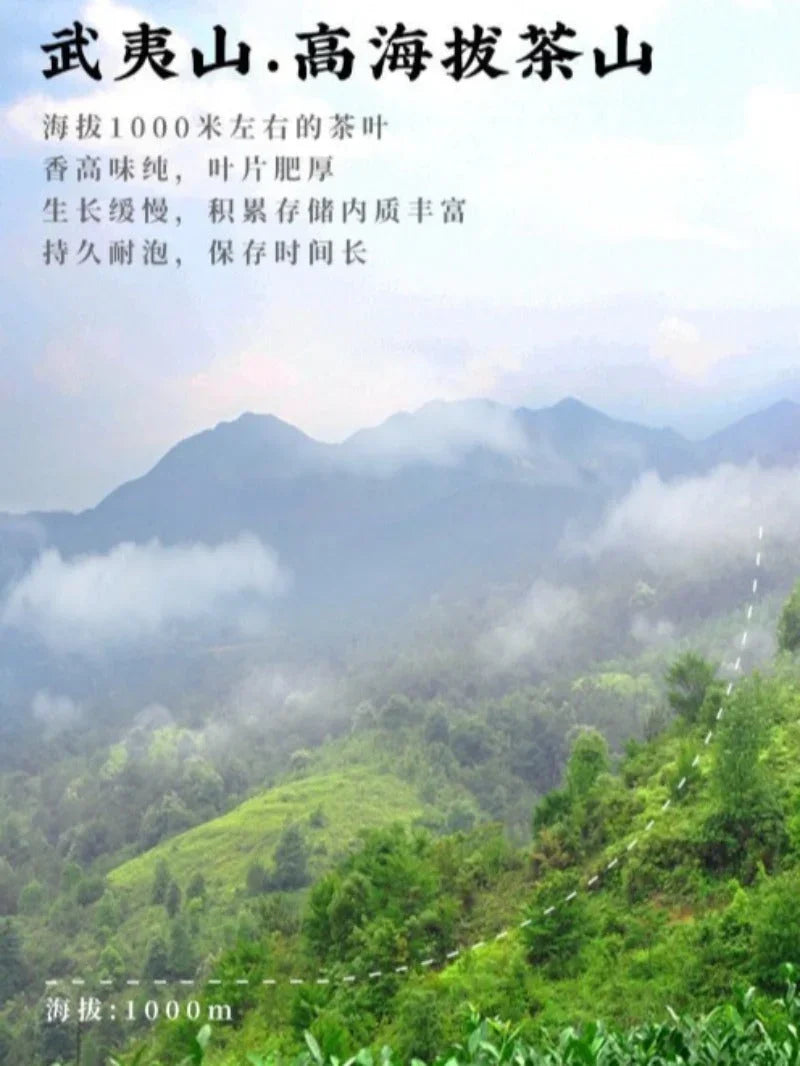 wuyi-yan-cha-premium-niu-lan-keng-rougui-cinnamon-aroma-oolong-tea-260520g-yiqin-tea-house-yiqinteahouse-com-14 - YIQIN TEA HOUSE 一沁茶舍 yiqinteahouse.com