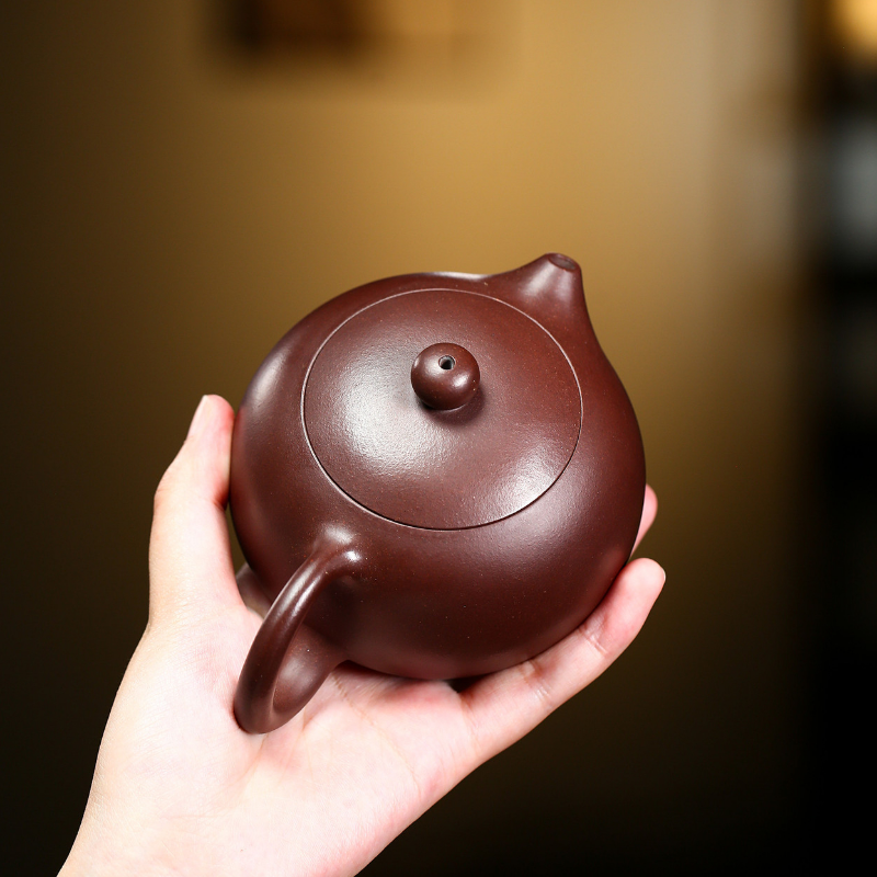 Yixing Zisha Teapot [Kagai Xishi] (Zi Ni - 200/250/300/400ml) - YIQIN TEA HOUSE | yiqinteahouse.com | 200-300ml, teapot, teapot hot picks, teaware, zisha teapot