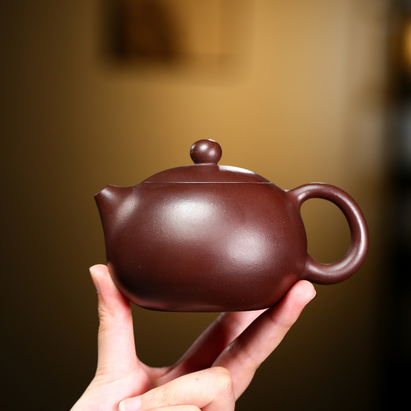 Yixing Zisha Teapot [Kagai Xishi] (Zi Ni - 200/250/300/400ml) - YIQIN TEA HOUSE | yiqinteahouse.com | 200-300ml, teapot, teapot hot picks, teaware, zisha teapot