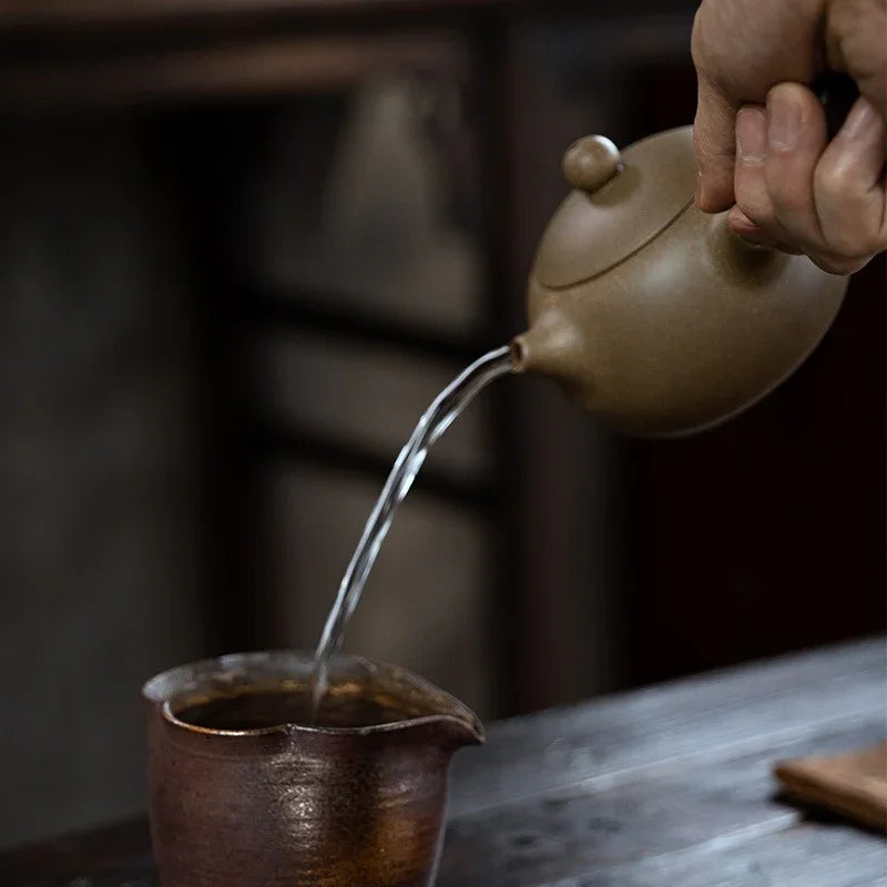 Teko Zisha Yixing [Tang Yu Xishi Side Handle Pot] (Qing Duan Ni - 200ml)