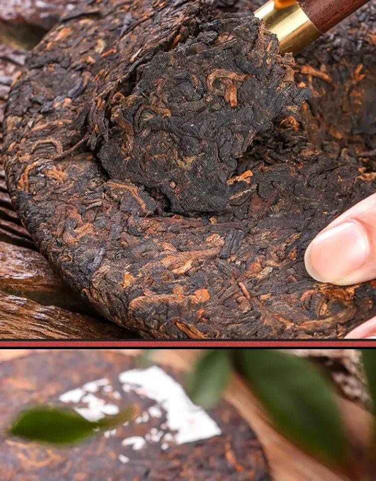 2006 Yunnan Shu Pu-er Tea Cake [Lao Ban Zhang] - YIQIN TEA HOUSE | yiqinteahouse.com | dark tea, pu-er, puer, shu puer, tea