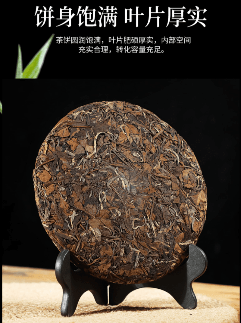 2011 Fuding White Tea Cake [Shou Mei] - YIQIN TEA HOUSE | yiqinteahouse.com | shou mei, tea, white tea