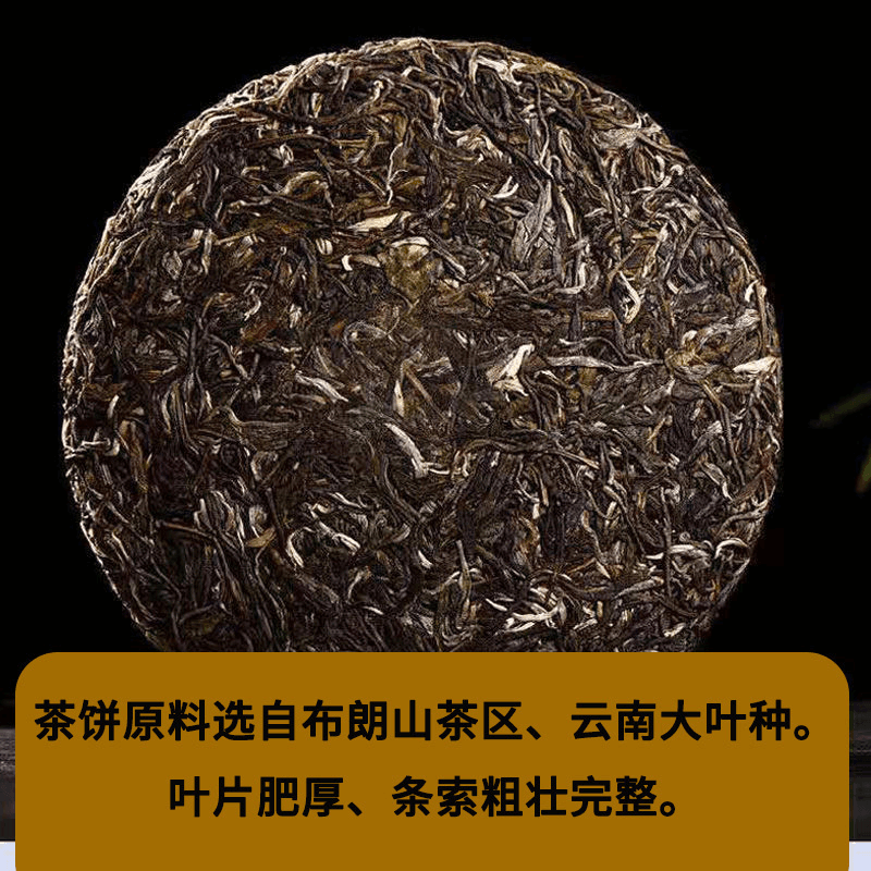 2019 Yunnan Sheng Puer Tea Cake [Bulang Shan] - YIQIN TEA HOUSE | yiqinteahouse.com | dark tea, pu-er, puer, sheng puer, tea