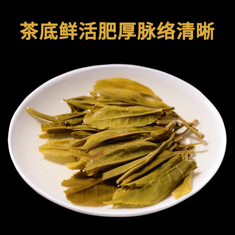 2019 Yunnan Sheng Puer Tea Cake [Bulang Shan] - YIQIN TEA HOUSE | yiqinteahouse.com | dark tea, pu-er, puer, sheng puer, tea