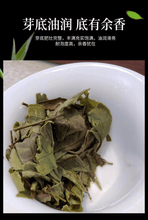 Load image into Gallery viewer, 2020 Fuding White Tea Cake [Diancang Gaoshan Gong Mei] | 2020福鼎白茶 [典藏高山贡眉] 白茶饼 - YIQIN TEA HOUSE 一沁茶舍  |  yiqinteahouse.com
