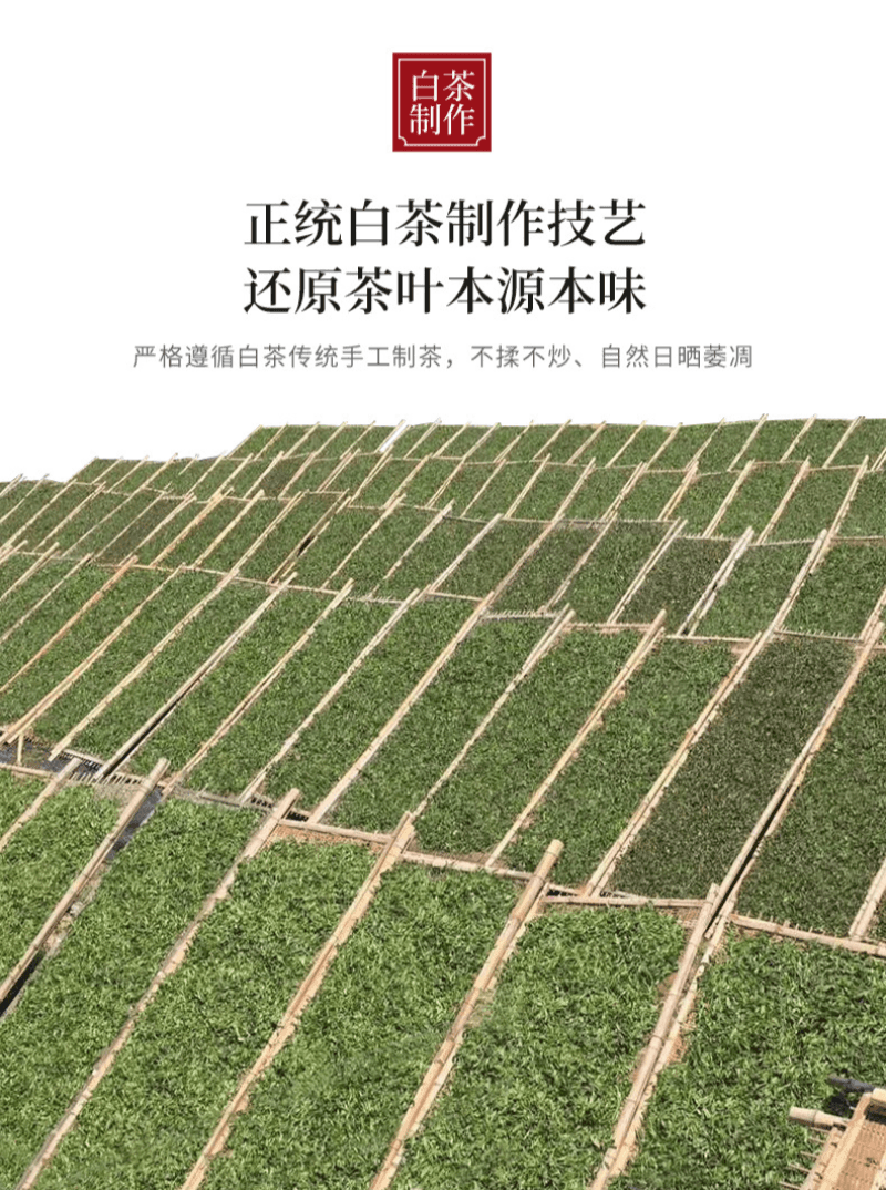 2020 Fuding White Tea Cake [Diancang Gaoshan Gong Mei] | 2020福鼎白茶 [典藏高山贡眉] 白茶饼 - YIQIN TEA HOUSE 一沁茶舍  |  yiqinteahouse.com