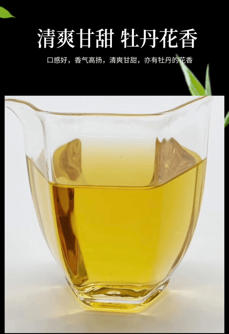 2020 Fuding White Tea Cake [Diancang Gaoshan Gong Mei] - YIQIN TEA HOUSE | yiqinteahouse.com | gong mei, tea, white tea