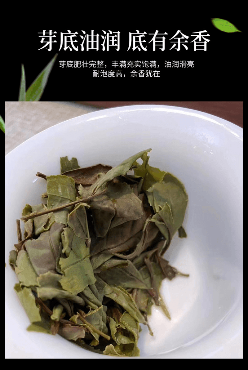 2020 Fuding White Tea Cake [Diancang Gaoshan Gong Mei] - YIQIN TEA HOUSE | yiqinteahouse.com | gong mei, tea, white tea