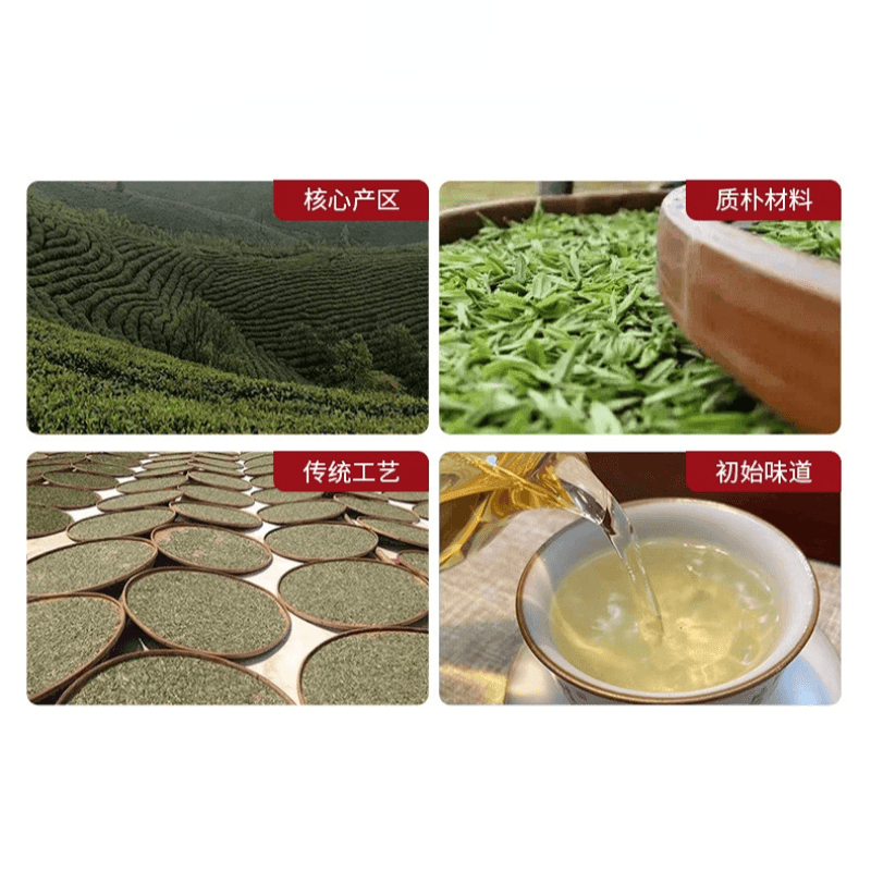 2020 Fuding White Tea Cake [Diancang Gaoshan Gong Mei] - YIQIN TEA HOUSE | yiqinteahouse.com | gong mei, tea, white tea