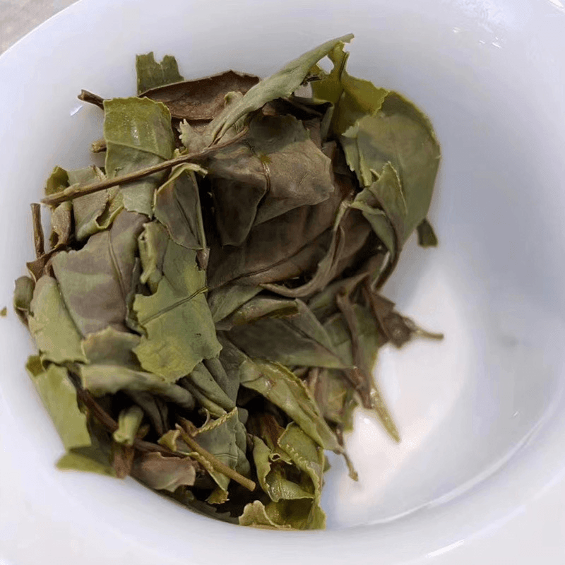 2020 Fuding White Tea Cake [Diancang Gaoshan Gong Mei] - YIQIN TEA HOUSE | yiqinteahouse.com | gong mei, tea, white tea