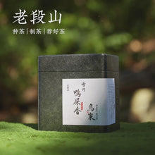 Load and play video in Gallery viewer, Lao Duan Shan [Premium Phoenix Dancong Snowflakes Yashixiang] Oolong Tea

