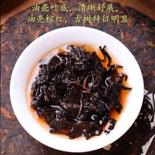 Load image into Gallery viewer, 2006 Spring Yunnan Shu Pu-er Tea Cake [Bingdao] | 云南2006春料 [冰岛] 勐海古树 普洱熟茶饼 - YIQIN TEA HOUSE 一沁茶舍  |  yiqinteahouse.com
