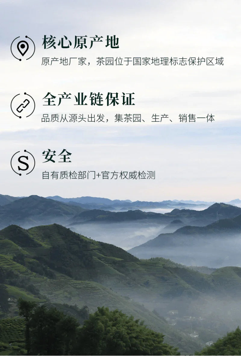 2025-early-spring-zhejiang-shaoxing-long-jing-class-1-green-tea-300g-yiqin-tea-house-yiqinteahouse-com-11 - YIQIN TEA HOUSE 一沁茶舍 yiqinteahouse.com