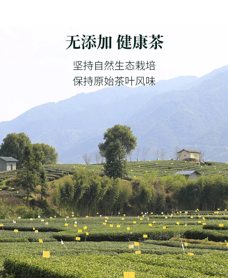 2025-early-spring-zhejiang-shaoxing-long-jing-class-1-green-tea-300g-yiqin-tea-house-yiqinteahouse-com-7 - YIQIN TEA HOUSE 一沁茶舍 yiqinteahouse.com