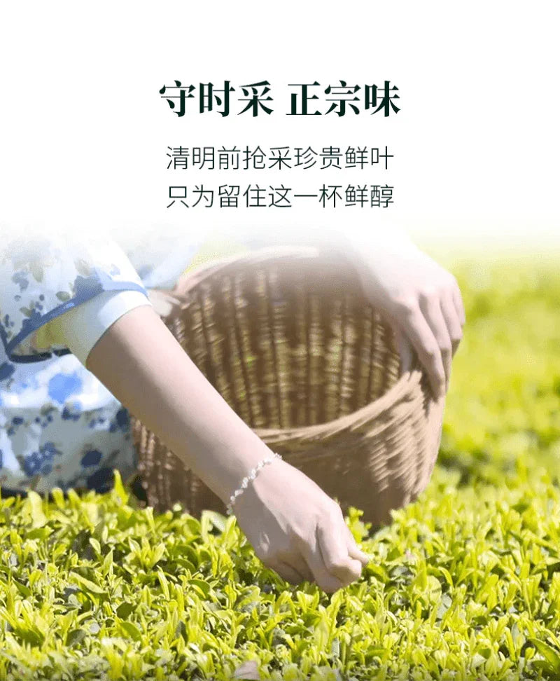 2025-early-spring-zhejiang-shaoxing-long-jing-class-1-green-tea-300g-yiqin-tea-house-yiqinteahouse-com-8 - YIQIN TEA HOUSE 一沁茶舍 yiqinteahouse.com