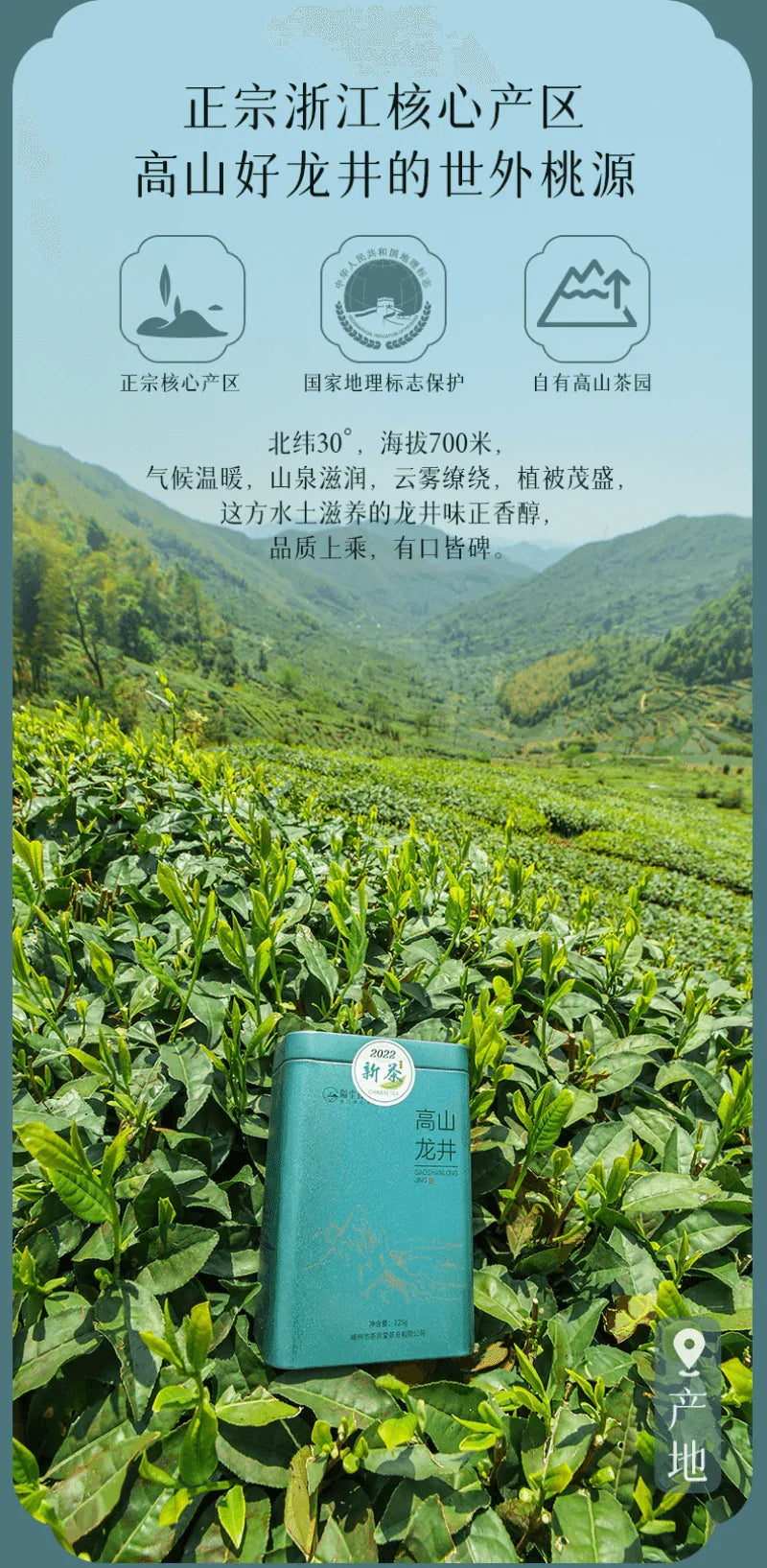 2024 Early Spring Zhejiang Shaoxing [Long Jing] Class S Green Tea Canned Gift Set 250g - YIQIN TEA HOUSE | yiqinteahouse.com | gift, green tea, long jing, tea