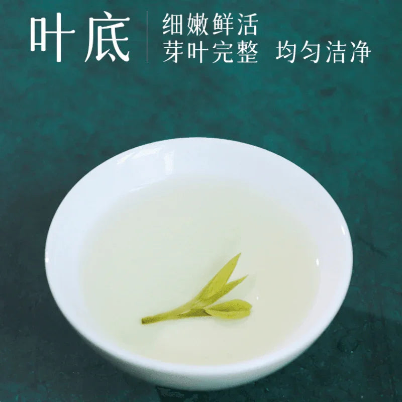 2024 Early Spring Zhejiang Shaoxing [Long Jing] Class S Green Tea Canned Gift Set 250g - YIQIN TEA HOUSE | yiqinteahouse.com | gift, green tea, long jing, tea