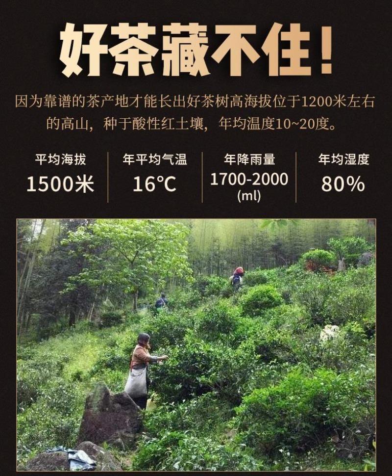 Premium Wuyi [Lapsang Souchong] Black Tea 500g - YIQIN TEA HOUSE | yiqinteahouse.com | black tea, lapsang souchong, tea