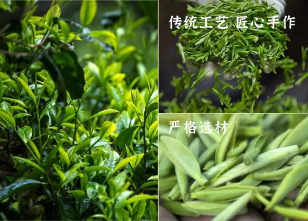 Wuyi [Jin Jun Mei] Flora Aroma Black Tea Canned Gift Set 250/500g - YIQIN TEA HOUSE | yiqinteahouse.com | black tea, jin jun mei, tea