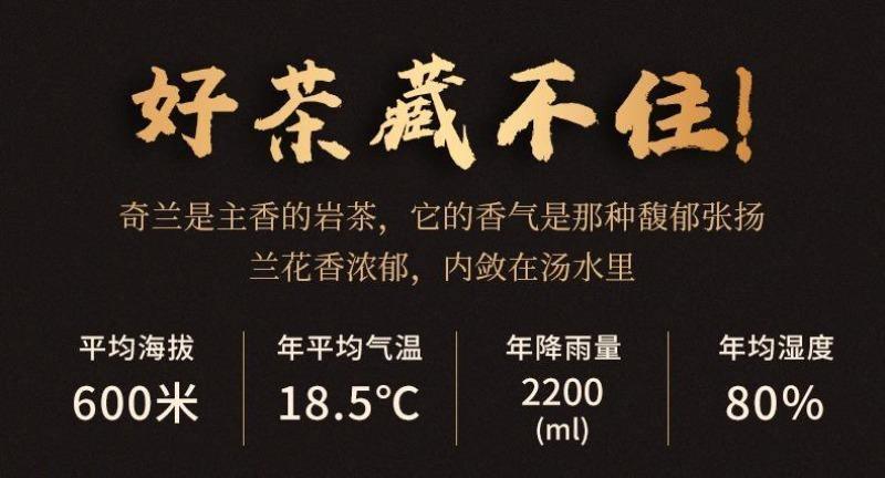 Wuyi [Qilan] Flora Fragrance Oolong Tea 500g - YIQIN TEA HOUSE | yiqinteahouse.com | oolong tea, tea, wuyi qilan