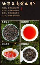 Load image into Gallery viewer, [Wuyi Rougui] Fruity Fragrant Oolong Tea | 武夷 [马头岩肉桂] 果香浓香型乌龙茶叶 500g - YIQIN TEA HOUSE 一沁茶舍 | yiqinteahouse.com
